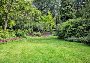 Optimiser l'expérience du jardin à Millancay